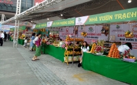 Du lịch Hà Tĩnh tham gia Lễ hội Cam và các sản phẩm nông nghiệp Hà Tĩnh lần thứ 3