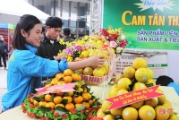 Mê mẩn những hàng cam chín mọng tại hội chợ nông sản lớn nhất Hà Tĩnh