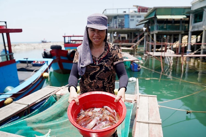 mực nhảy Vũng Áng