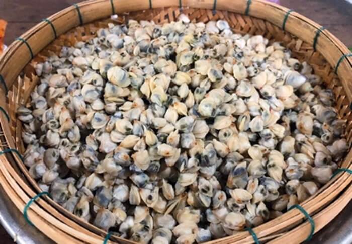 Hến sông La