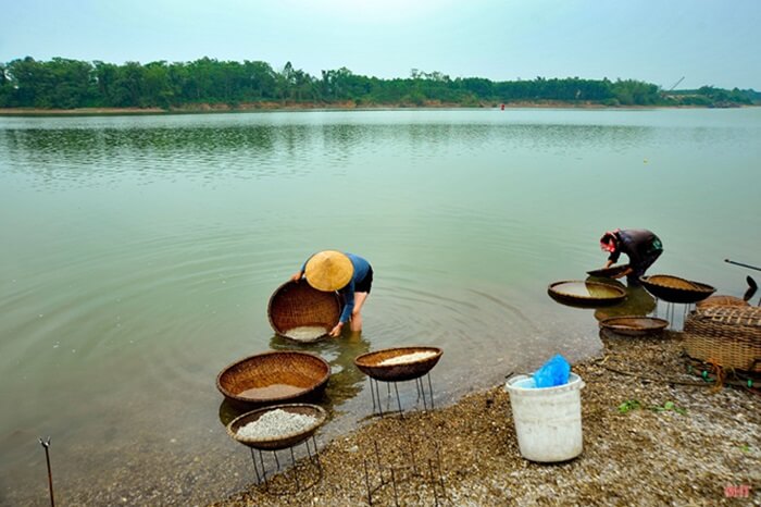 Hến sông La