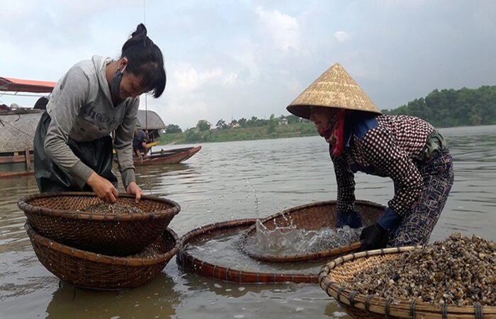 Hến sông La