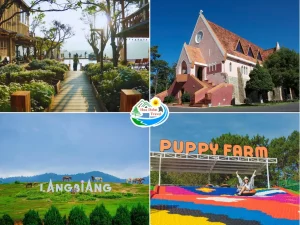 Tour Đà Lạt 3 ngày 2 đêm giá rẻ trọn gói do Hoa Dalat Travel công ty tour du lịch Đà Lạt uy tín tổ chức